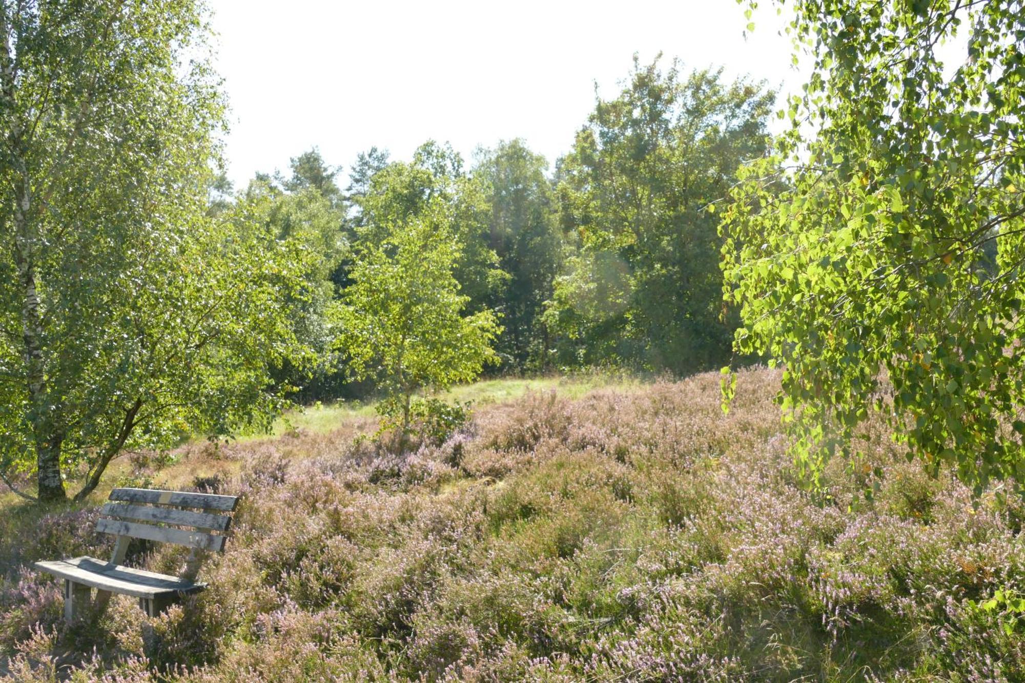 Villa Schaeferwagen Auf'M Minibauernhof In Munster Esterno foto